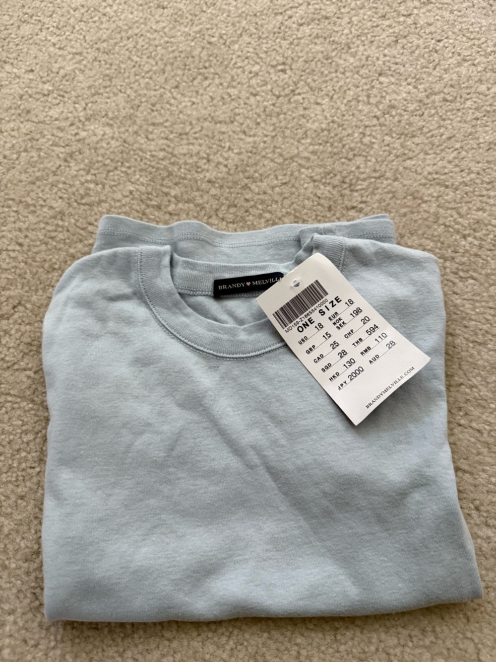 NWT Brandy Melville Light Blue Crew Neck Top - Picture 2 of 4